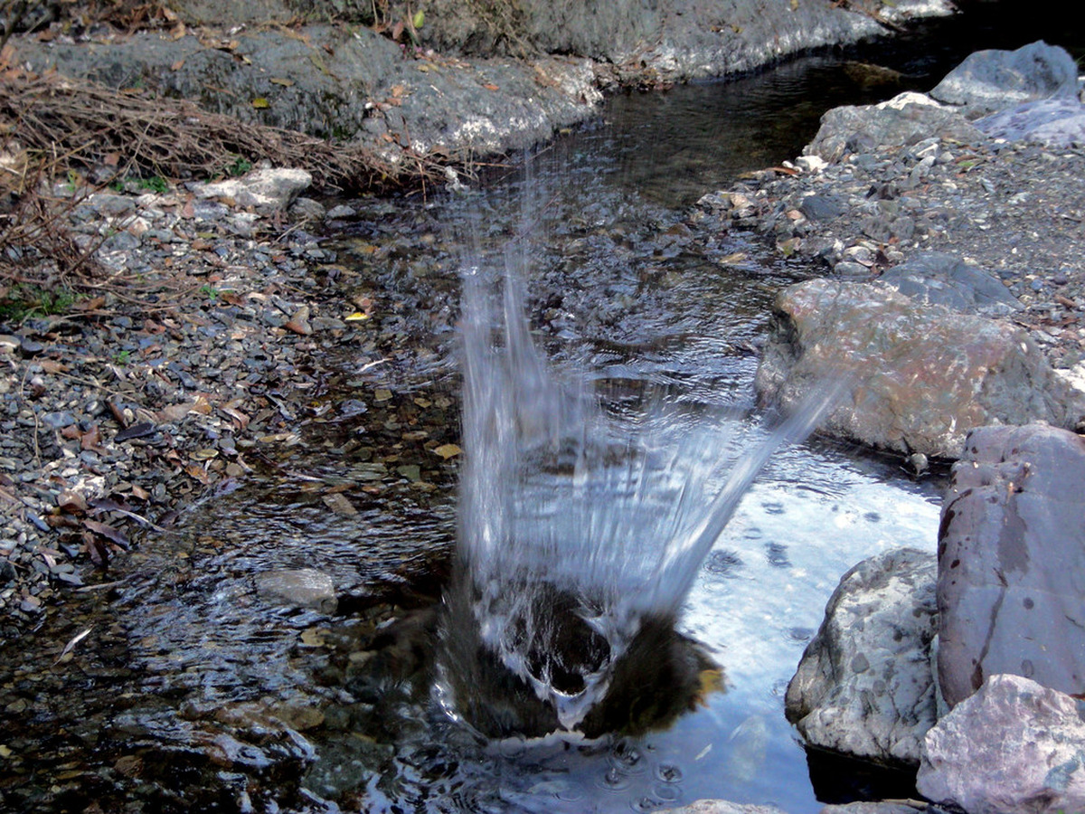 Throwing a rock in the river